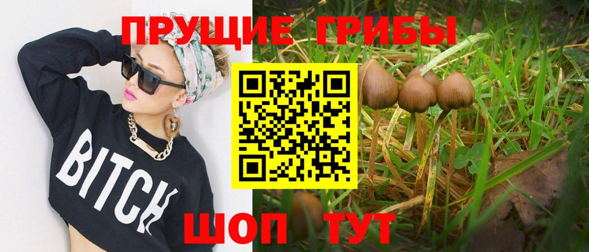 Псилоцибиновые грибы Cubensis Донецк