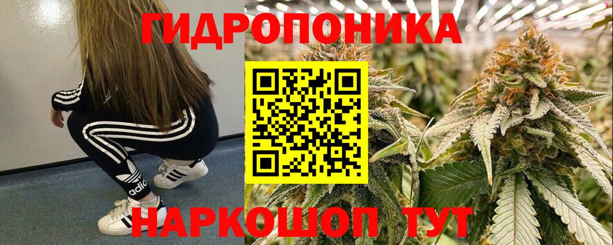 Донецк  Бошки Шишки индика  Бошки марихуана Bruce Banner  Шишки марихуана Ganja  Вход с VPN 